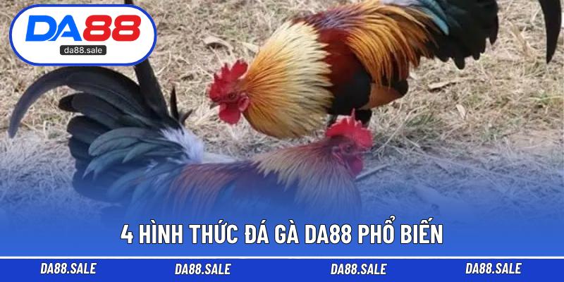 4 hình thức đá gà DA88 phổ biến