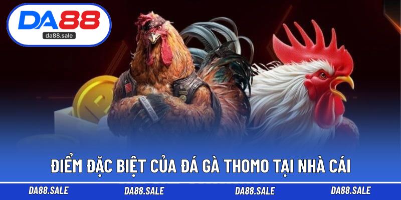 Điểm đặc biệt của đá gà Thomo tại nhà cái
