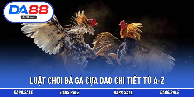 Luật chơi đá gà cựa dao chi tiết từ A-Z