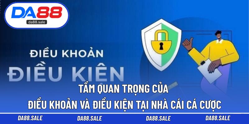 Tầm quan trọng của điều khoản và điều kiện tại nhà cái cá cược