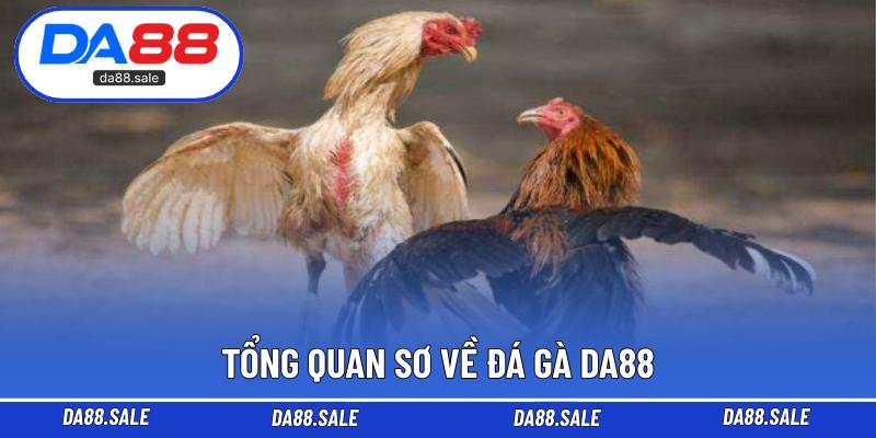 Tổng quan sơ về đá gà DA88