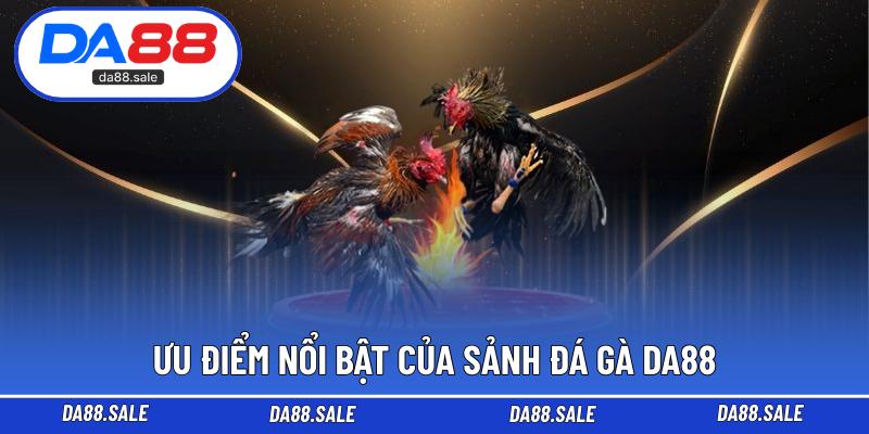 Ưu điểm nổi bật của sảnh đá gà DA88